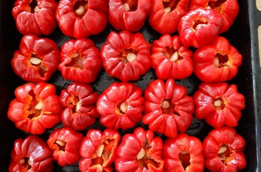 Roasted round bell peppers